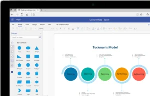 Visio 2013 Professional Lifetime