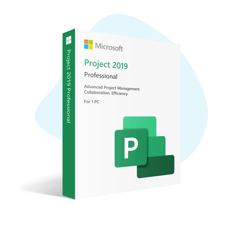 Project 2019 Pro License – 1PC